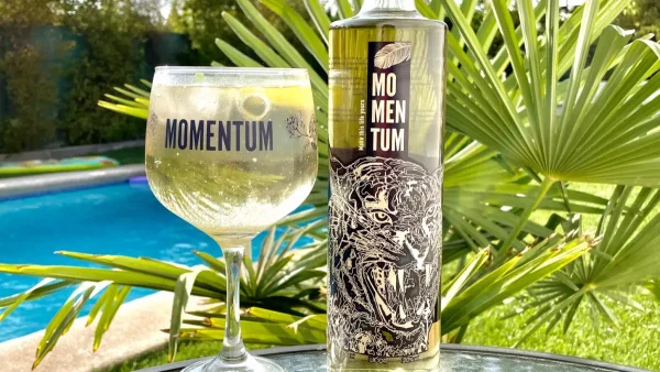 Licor de Sauco Momentum 750cc + copa - Imagen 2