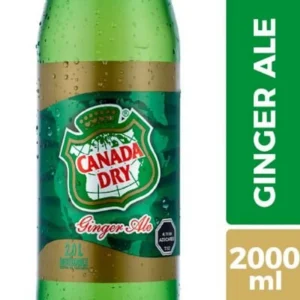 Bebida Ginger Ale Canada Dry